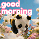 good morning funny meme