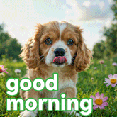 good morning memes funny