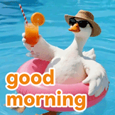 good morning gif funny