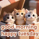 good morning happy tuesday gif