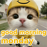 good morning monday gif