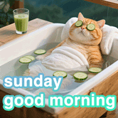 good sunday morning gif