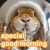 special good morning gif