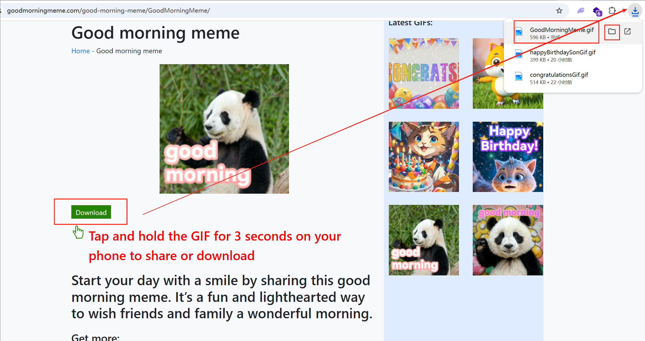 How to Download or Share a GIF in Google Chrome on Android, screenshot, Example