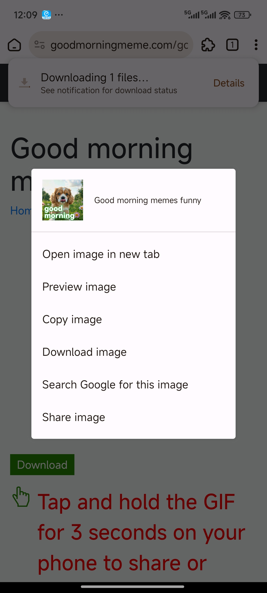 How to Download or Share a GIF in Google Chrome on Android, screenshot, Example