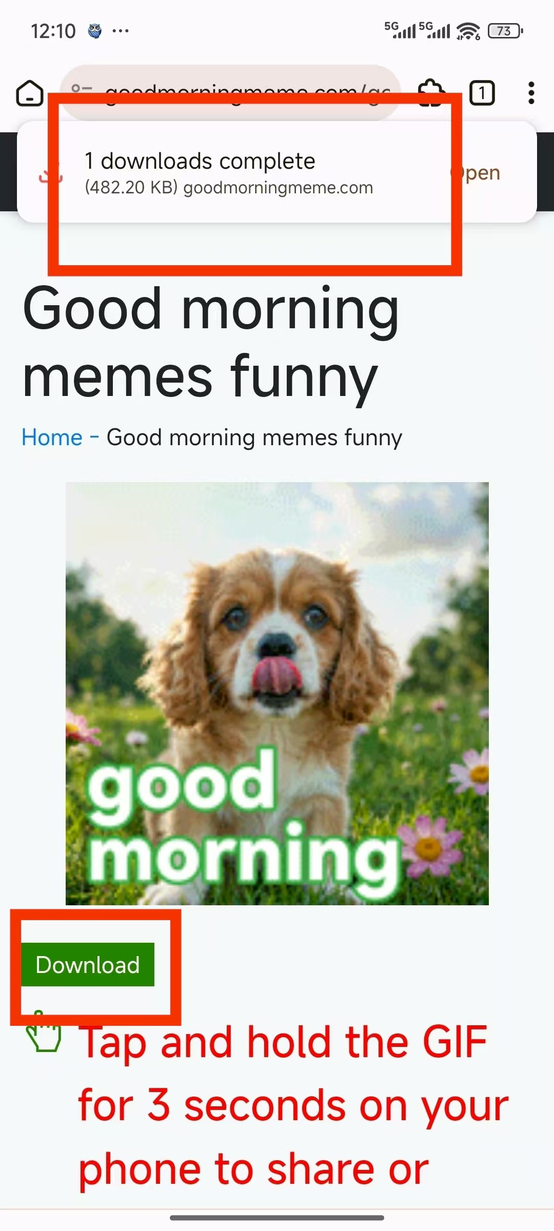 How to Download or Share a GIF in Google Chrome on Android, screenshot, Example